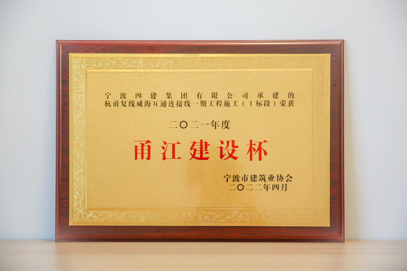 奖项7