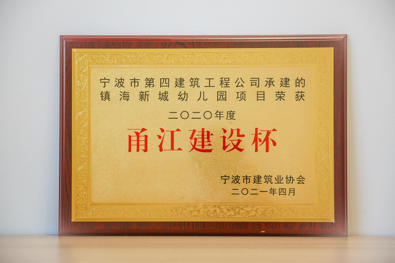 奖项9